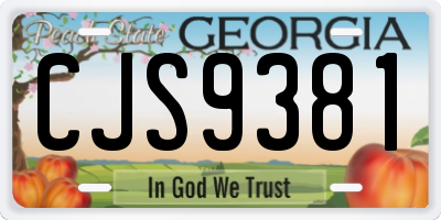 GA license plate CJS9381