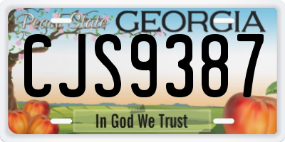 GA license plate CJS9387