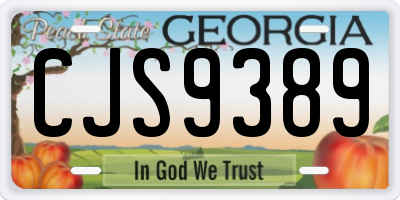 GA license plate CJS9389