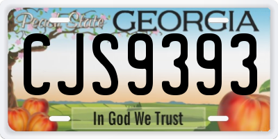 GA license plate CJS9393