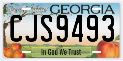 GA license plate CJS9493