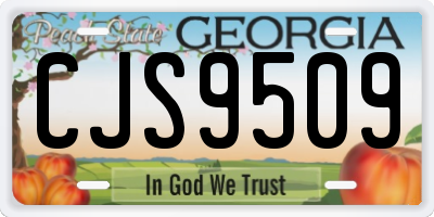 GA license plate CJS9509