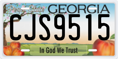 GA license plate CJS9515