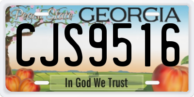 GA license plate CJS9516