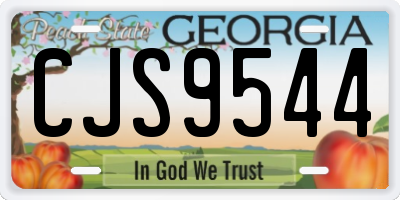 GA license plate CJS9544