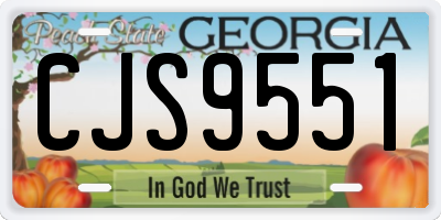 GA license plate CJS9551