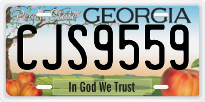 GA license plate CJS9559