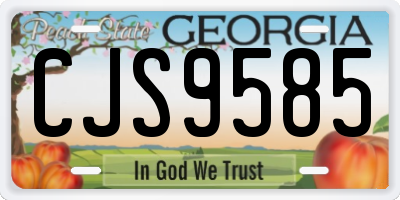 GA license plate CJS9585