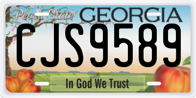 GA license plate CJS9589