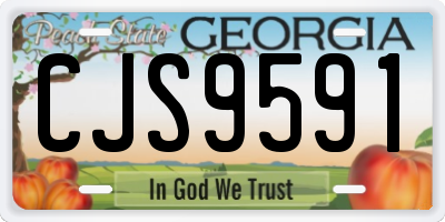 GA license plate CJS9591