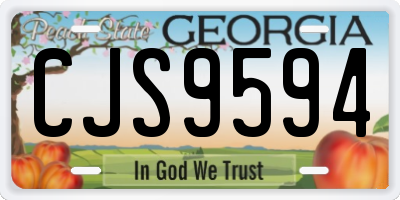 GA license plate CJS9594