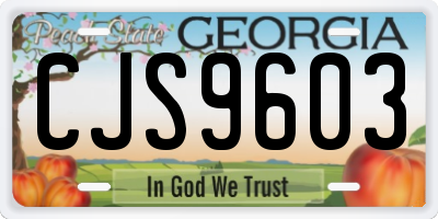 GA license plate CJS9603