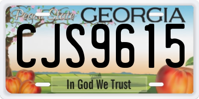 GA license plate CJS9615