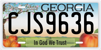 GA license plate CJS9636