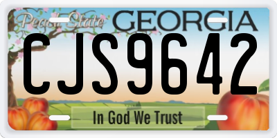 GA license plate CJS9642