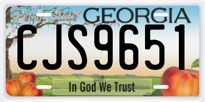 GA license plate CJS9651