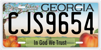 GA license plate CJS9654