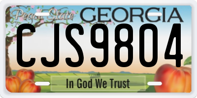 GA license plate CJS9804
