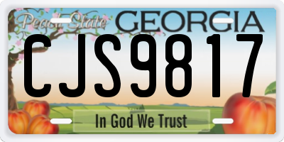 GA license plate CJS9817
