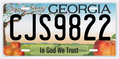 GA license plate CJS9822