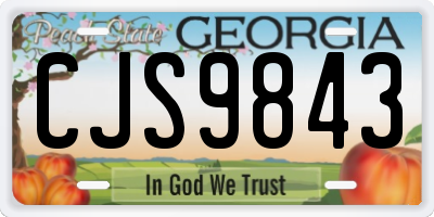 GA license plate CJS9843