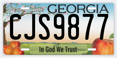 GA license plate CJS9877