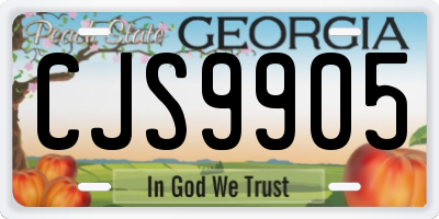 GA license plate CJS9905