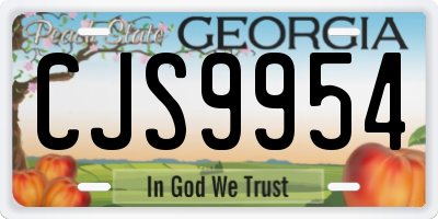 GA license plate CJS9954