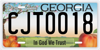 GA license plate CJT0018