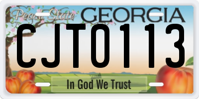 GA license plate CJT0113