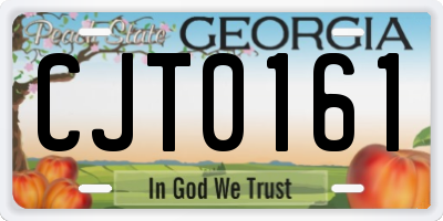 GA license plate CJT0161