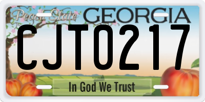 GA license plate CJT0217