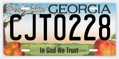 GA license plate CJT0228