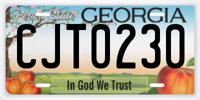 GA license plate CJT0230