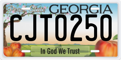 GA license plate CJT0250