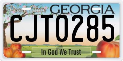 GA license plate CJT0285