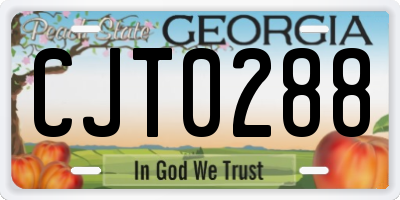 GA license plate CJT0288