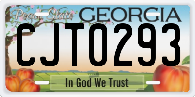 GA license plate CJT0293