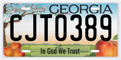 GA license plate CJT0389