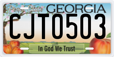 GA license plate CJT0503