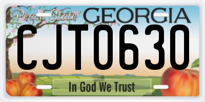 GA license plate CJT0630