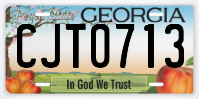 GA license plate CJT0713