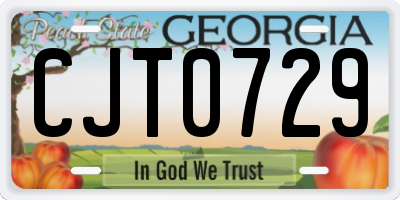 GA license plate CJT0729