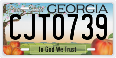 GA license plate CJT0739