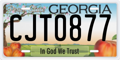 GA license plate CJT0877
