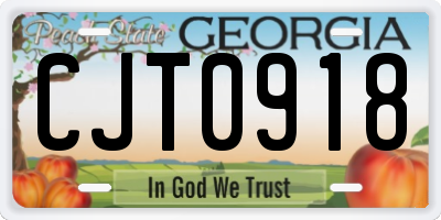 GA license plate CJT0918