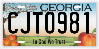 GA license plate CJT0981
