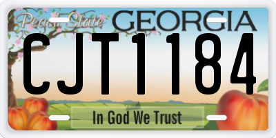 GA license plate CJT1184
