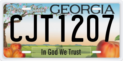 GA license plate CJT1207
