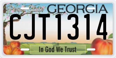 GA license plate CJT1314